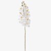 Artificial Flower 16*16*72cm Phalaenopsis *7 single stem GS-64924019CT-R 2025May YeahFlower is one of Chinese leading OEM manufacturers and exporters , supplying the silk flowers, wholesale artificial trees
