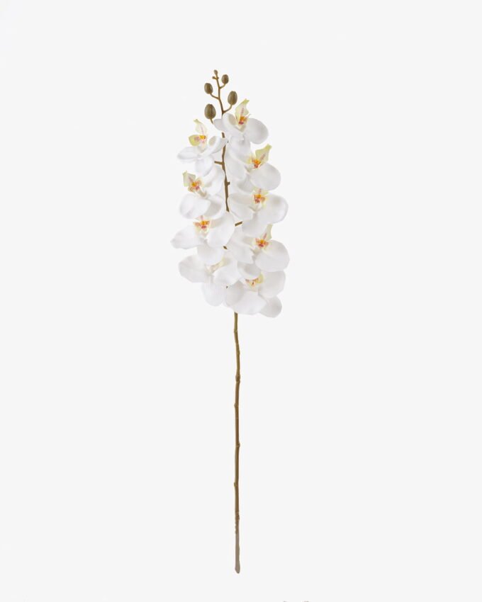 Artificial Flower 16*16*72cm Phalaenopsis *7 single stem GS-64924019CT-R 2025May YeahFlower is one of Chinese leading OEM manufacturers and exporters , supplying the silk flowers, wholesale artificial trees