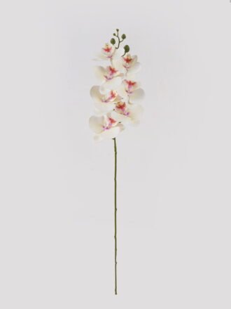Artificial Flower 16*16*72cm  Phalaenopsis *7 single stem GS-64925002-R1 2025May 3,000+ sqm showroom with thousands of artificial flowers, plants & trees ready for global sourcing.