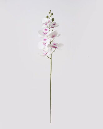 Artificial Flower 16*16*72cm  Phalaenopsis *7 single stem GS-64925002-W3