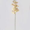 Artificial Flower Phalaenopsis 7 single stem GS-64925002-Y1_2 Artificial Flower 16*16*72cm Phalaenopsis *7 single stem GS-64925002-Y1 2025May YeahFlower is one of Chinese leading OEM manufacturers and exporters , supplying the silk flowers, wholesale artificial trees