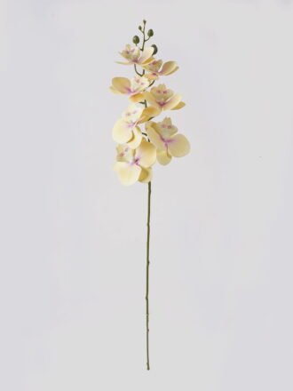 Artificial Flower 16*16*72cm  Phalaenopsis *7 single stem GS-64925002-W3 2025May 3,000+ sqm showroom with thousands of artificial flowers, plants & trees ready for global sourcing.