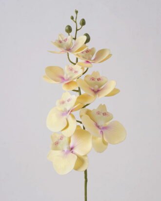 Artificial Flower 16*16*72cm  Phalaenopsis *7 single stem GS-64925002-Y1 2025May YeahFlower is one of Chinese leading OEM manufacturers and exporters , supplying the silk flowers, wholesale artificial trees