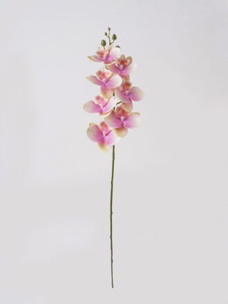 Artificial Flower 16*16*72cm  Phalaenopsis *7 single stem GS-64925002-Y1 2025May 3,000+ sqm showroom with thousands of artificial flowers, plants & trees ready for global sourcing.