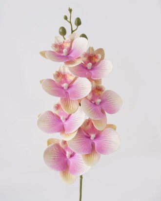 Artificial Flower 16*16*72cm  Phalaenopsis *7 single stem GS-64925002-Z1 2025May YeahFlower is one of Chinese leading OEM manufacturers and exporters , supplying the silk flowers, wholesale artificial trees