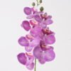 Artificial Flower Phalaenopsis 7 single stem GS-64925002-Z2_2 Artificial Flower 16*16*72cm Phalaenopsis *7 single stem GS-64925002-Z2 2025May YeahFlower is one of Chinese leading OEM manufacturers and exporters , supplying the silk flowers, wholesale artificial trees