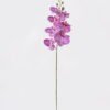 Artificial Flower Phalaenopsis 7 single stem GS-64925002-Z2_3 Artificial Flower 16*16*72cm Phalaenopsis *7 single stem GS-64925002-Z2 2025May YeahFlower is one of Chinese leading OEM manufacturers and exporters , supplying the silk flowers, wholesale artificial trees