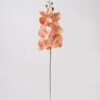 Artificial Flower Phalaenopsis 7 single stem GS-64925002_3 Artificial Flower 16*16*72cm Phalaenopsis *7 single stem GS-64925002 2025May YeahFlower is one of Chinese leading OEM manufacturers and exporters , supplying the silk flowers, wholesale artificial trees