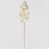 Artificial Flower Phalaenopsis 7 single stem GS-64925002_5 Artificial Flower 16*16*72cm Phalaenopsis *7 single stem GS-64925002 2025May YeahFlower is one of Chinese leading OEM manufacturers and exporters , supplying the silk flowers, wholesale artificial trees