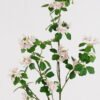 Artificial Flower Plum single stem GS-26225009-P1_9 Artificial Flower 28*28*108cm Plum single stem GS-26225009-P1 2025May YeahFlower is one of Chinese leading OEM manufacturers and exporters , supplying the silk flowers, wholesale artificial trees