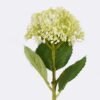 Artificial Flower 14*14*48cm Raspberry single stem GS-51625001 2025May YeahFlower is one of Chinese leading OEM manufacturers and exporters , supplying the silk flowers, wholesale artificial trees