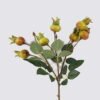 Artificial Flower Rose hip single stem GS-63625013_2 Artificial Flower 13*13*49cm Rose hip single stem GS-63625013 2025May YeahFlower is one of Chinese leading OEM manufacturers and exporters , supplying the silk flowers, wholesale artificial trees