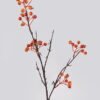 Artificial Flower Seven orifices fruit single stem GS-63625015-O1_1 Artificial Flower 22*22*69cm Seven orifices fruit single stem GS-63625015-O1 2025May YeahFlower is one of Chinese leading OEM manufacturers and exporters , supplying the silk flowers, wholesale artificial trees