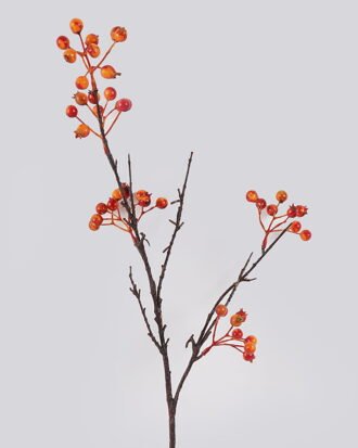 Artificial Flower 22*22*69cm Seven orifices fruit single stem GS-63625015-O1 2025May YeahFlower is one of Chinese leading OEM manufacturers and exporters , supplying the silk flowers, wholesale artificial trees Artificial Flower 22*22*69cm Seven orifices fruit single stem GS-63625015-O1 2025May YeahFlower is one of Chinese leading OEM manufacturers and exporters , supplying the silk flowers, wholesale artificial trees