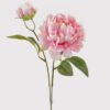 Artificial Flower Singel peony GS-06025001-P12_2 Artificial Flower 15*50CM Singel peony GS-06025001-P12 2025May YeahFlower is one of Chinese leading OEM manufacturers and exporters , supplying the silk flowers, wholesale artificial trees