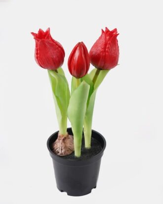 Artificial Flower 9*9*20cm Tulip *3 in PP pot GS-24525001-R1 2025May YeahFlower is one of Chinese leading OEM manufacturers and exporters , supplying the silk flowers, wholesale artificial trees Artificial Flower 9*9*20cm Tulip *3 in PP pot GS-24525001-R1 2025May YeahFlower is one of Chinese leading OEM manufacturers and exporters , supplying the silk flowers, wholesale artificial trees