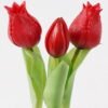 Artificial Flower 9*9*20cm Tulip *3 in PP pot GS-24525001-R1 2025May YeahFlower is one of Chinese leading OEM manufacturers and exporters , supplying the silk flowers, wholesale artificial trees