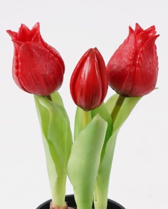 Artificial Flower 9*9*20cm Tulip *3 in PP pot GS-24525001-R1 2025May YeahFlower is one of Chinese leading OEM manufacturers and exporters , supplying the silk flowers, wholesale artificial trees Artificial Flower 9*9*20cm Tulip *3 in PP pot GS-24525001-R1 2025May YeahFlower is one of Chinese leading OEM manufacturers and exporters , supplying the silk flowers, wholesale artificial trees