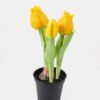 Artificial Flower 9*9*20cm Tulip *3 in PP pot GS-24525001-Y1 2025May YeahFlower is one of Chinese leading OEM manufacturers and exporters , supplying the silk flowers, wholesale artificial trees