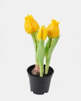Artificial Flower 9*9*20cm Tulip *3 in PP pot GS-24525001-Y1 2025May YeahFlower is one of Chinese leading OEM manufacturers and exporters , supplying the silk flowers, wholesale artificial trees Artificial Flower 9*9*20cm Tulip *3 in PP pot GS-24525001-Y1 2025May YeahFlower is one of Chinese leading OEM manufacturers and exporters , supplying the silk flowers, wholesale artificial trees