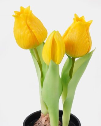 Artificial Flower 9*9*20cm Tulip *3 in PP pot GS-24525001-Y1 2025May YeahFlower is one of Chinese leading OEM manufacturers and exporters , supplying the silk flowers, wholesale artificial trees Artificial Flower 9*9*20cm Tulip *3 in PP pot GS-24525001-Y1 2025May YeahFlower is one of Chinese leading OEM manufacturers and exporters , supplying the silk flowers, wholesale artificial trees