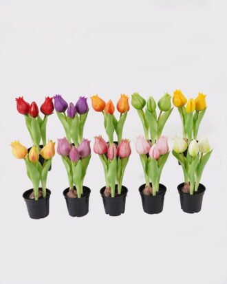 Artificial Flower 9*9*20cm Tulip *3 in PP pot GS-24525001 2025May YeahFlower is one of Chinese leading OEM manufacturers and exporters , supplying the silk flowers, wholesale artificial trees Artificial Flower 9*9*20cm Tulip *3 in PP pot GS-24525001 2025May YeahFlower is one of Chinese leading OEM manufacturers and exporters , supplying the silk flowers, wholesale artificial trees