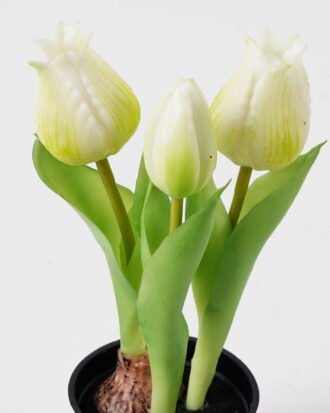 Artificial Flower 9*9*20cm Tulip *3 in PP pot GS-24525001 2025May YeahFlower is one of Chinese leading OEM manufacturers and exporters , supplying the silk flowers, wholesale artificial trees Artificial Flower 9*9*20cm Tulip *3 in PP pot GS-24525001 2025May YeahFlower is one of Chinese leading OEM manufacturers and exporters , supplying the silk flowers, wholesale artificial trees