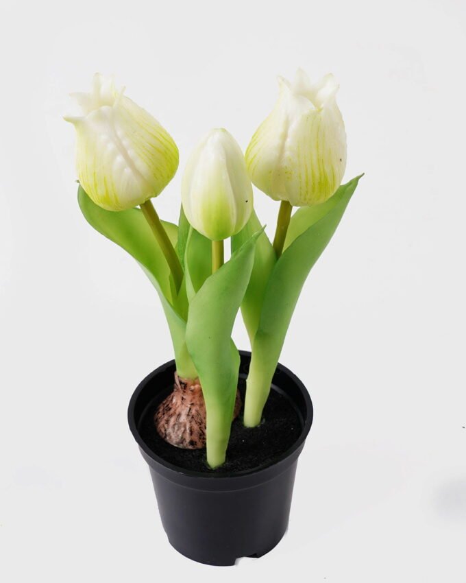 Artificial Flower Tulip 3 in PP pot GS-24525001_3 Artificial Flower 9*9*20cm Tulip *3 in PP pot GS-24525001 2025May YeahFlower is one of Chinese leading OEM manufacturers and exporters , supplying the silk flowers, wholesale artificial trees