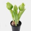 Artificial Flower Tulip 3 in PP pot GS-24525001_4 Artificial Flower 9*9*20cm Tulip *3 in PP pot GS-24525001 2025May YeahFlower is one of Chinese leading OEM manufacturers and exporters , supplying the silk flowers, wholesale artificial trees