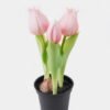 Artificial Flower Tulip 3 in PP pot GS-24525001_6 Artificial Flower 9*9*20cm Tulip *3 in PP pot GS-24525001 2025May YeahFlower is one of Chinese leading OEM manufacturers and exporters , supplying the silk flowers, wholesale artificial trees