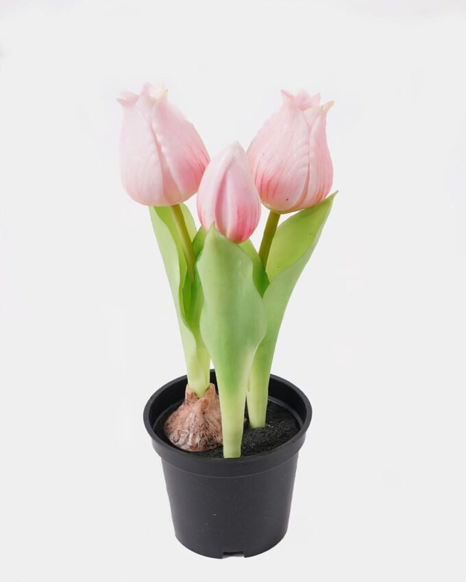 Artificial Flower Tulip 3 in PP pot GS-24525001_6 Artificial Flower 9*9*20cm Tulip *3 in PP pot GS-24525001 2025May YeahFlower is one of Chinese leading OEM manufacturers and exporters , supplying the silk flowers, wholesale artificial trees