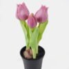 Artificial Flower Tulip 3 in PP pot GS-24525001_7 Artificial Flower 9*9*20cm Tulip *3 in PP pot GS-24525001 2025May YeahFlower is one of Chinese leading OEM manufacturers and exporters , supplying the silk flowers, wholesale artificial trees