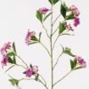 Artificial Flower Winter jasmine single stem GS-62425004-R2_5 Artificial Flower 23*23*84cm Winter jasmine single stem GS-62425004-R2 2025May YeahFlower is one of Chinese leading OEM manufacturers and exporters , supplying the silk flowers, wholesale artificial trees
