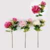 Artificial Flower peony 2 single stem GS-2580039-P12 Artificial Flower 15*15*48CM peony *2 single stem GS-2580039-P12 2025May YeahFlower is one of Chinese leading OEM manufacturers and exporters , supplying the silk flowers, wholesale artificial trees