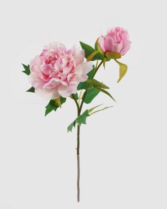 Artificial Flower 15*15*48CM peony *2 single stem GS-2580039-P12 2025May YeahFlower is one of Chinese leading OEM manufacturers and exporters , supplying the silk flowers, wholesale artificial trees Artificial Flower 15*15*48CM peony *2 single stem GS-2580039-P12 2025May YeahFlower is one of Chinese leading OEM manufacturers and exporters , supplying the silk flowers, wholesale artificial trees
