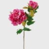 Artificial Flower peony 2 single stem GS-2580039-P12_2 Artificial Flower 15*15*48CM peony *2 single stem GS-2580039-P12 2025May YeahFlower is one of Chinese leading OEM manufacturers and exporters , supplying the silk flowers, wholesale artificial trees