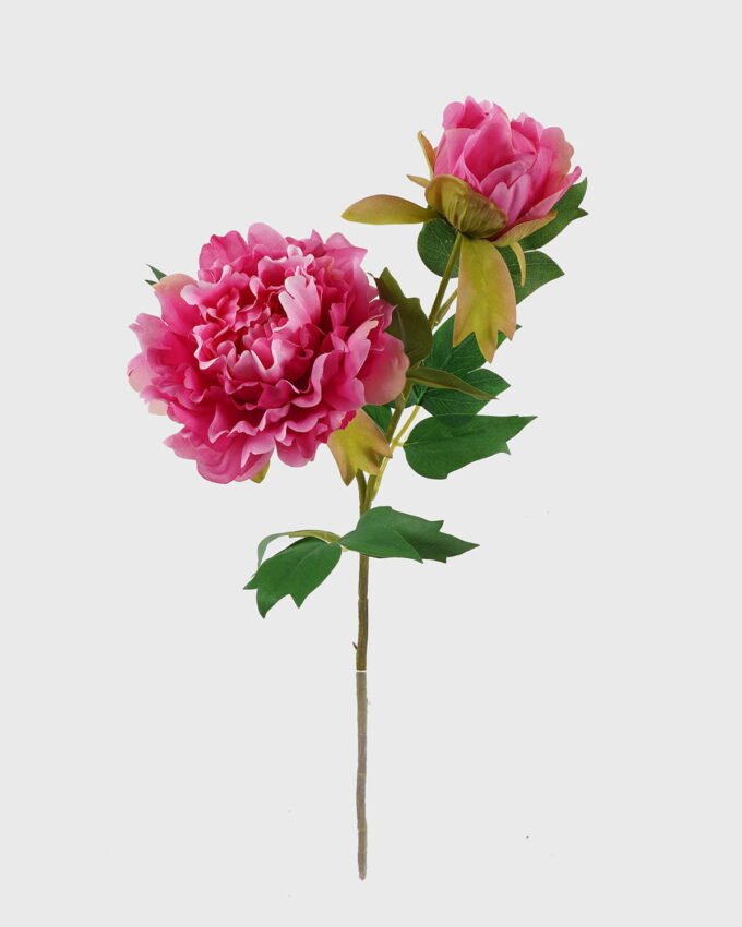 Artificial Flower peony 2 single stem GS-2580039-P12_2 Artificial Flower 15*15*48CM peony *2 single stem GS-2580039-P12 2025May YeahFlower is one of Chinese leading OEM manufacturers and exporters , supplying the silk flowers, wholesale artificial trees