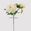 Artificial Flower peony 2 single stem GS-2580039-P12_3 Artificial Flower 15*15*48CM peony *2 single stem GS-2580039-P12 2025May YeahFlower is one of Chinese leading OEM manufacturers and exporters , supplying the silk flowers, wholesale artificial trees
