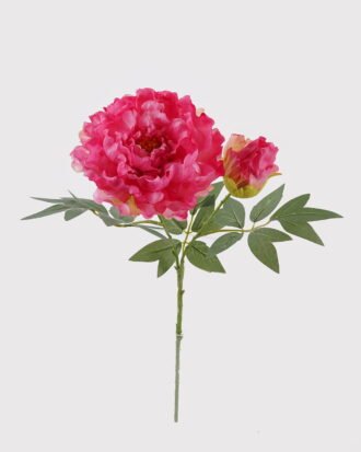 Artificial Flower 18*18*48cm peony *2 single stem GS-33225001 2025May YeahFlower is one of Chinese leading OEM manufacturers and exporters , supplying the silk flowers, wholesale artificial trees Artificial Flower 18*18*48cm peony *2 single stem GS-33225001 2025May YeahFlower is one of Chinese leading OEM manufacturers and exporters , supplying the silk flowers, wholesale artificial trees