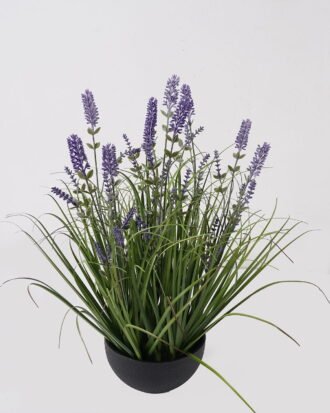 Artificial Grass 25*25*50cm Grass *10 in PP pot GS-29425013 2025May YeahFlower is one of Chinese leading OEM manufacturers and exporters , supplying the silk flowers, wholesale artificial trees Artificial Grass 25*25*50cm Grass *10 in PP pot GS-29425013 2025May YeahFlower is one of Chinese leading OEM manufacturers and exporters , supplying the silk flowers, wholesale artificial trees