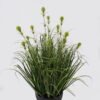 Artificial Grass 43*43*74cm Grass *13 in PP pot GS-29425008 2025May YeahFlower is one of Chinese leading OEM manufacturers and exporters , supplying the silk flowers, wholesale artificial trees