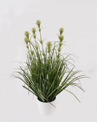 Artificial Grass 35*35*56cm Grass *7 in PP pot GS-29425007 2025May YeahFlower is one of Chinese leading OEM manufacturers and exporters , supplying the silk flowers, wholesale artificial trees Artificial Grass 35*35*56cm Grass *7 in PP pot GS-29425007 2025May YeahFlower is one of Chinese leading OEM manufacturers and exporters , supplying the silk flowers, wholesale artificial trees