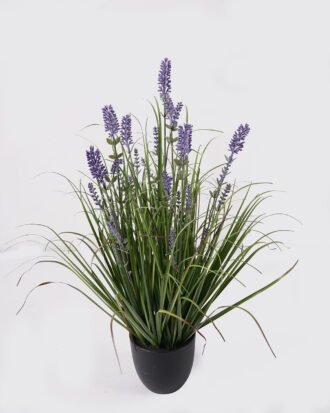 Artificial Grass 35*35*56cm Grass *7 in PP pot GS-29425016 2025May YeahFlower is one of Chinese leading OEM manufacturers and exporters , supplying the silk flowers, wholesale artificial trees Artificial Grass 35*35*56cm Grass *7 in PP pot GS-29425016 2025May YeahFlower is one of Chinese leading OEM manufacturers and exporters , supplying the silk flowers, wholesale artificial trees