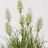 Artificial Grass Grass 7 in PP pot GS-29425025_4 Artificial Grass 35*35*56cm Grass *7 in PP pot GS-29425025 2025May YeahFlower is one of Chinese leading OEM manufacturers and exporters , supplying the silk flowers, wholesale artificial trees