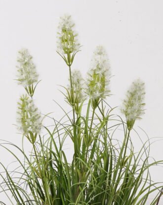 Artificial Grass 35*35*56cm Grass *7 in PP pot GS-29425025 2025May YeahFlower is one of Chinese leading OEM manufacturers and exporters , supplying the silk flowers, wholesale artificial trees Artificial Grass 35*35*56cm Grass *7 in PP pot GS-29425025 2025May YeahFlower is one of Chinese leading OEM manufacturers and exporters , supplying the silk flowers, wholesale artificial trees