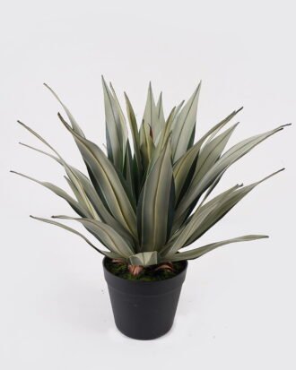 Artificial Plant 40*40*45cm Agave in PP pot/31 lvs GS-41925003 2025May YeahFlower is one of Chinese leading OEM manufacturers and exporters , supplying the silk flowers, wholesale artificial trees Artificial Plant 40*40*45cm Agave in PP pot/31 lvs GS-41925003 2025May YeahFlower is one of Chinese leading OEM manufacturers and exporters , supplying the silk flowers, wholesale artificial trees