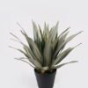 Artificial Plant Agave in PP pot 31 lvs GS-41925003_8 Artificial Plant 40*40*45cm Agave in PP pot/31 lvs GS-41925003 2025May YeahFlower is one of Chinese leading OEM manufacturers and exporters , supplying the silk flowers, wholesale artificial trees