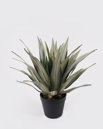 Artificial Plant 40*40*45cm Agave in PP pot/31 lvs GS-41925003 2025May YeahFlower is one of Chinese leading OEM manufacturers and exporters , supplying the silk flowers, wholesale artificial trees Artificial Plant 40*40*45cm Agave in PP pot/31 lvs GS-41925003 2025May YeahFlower is one of Chinese leading OEM manufacturers and exporters , supplying the silk flowers, wholesale artificial trees