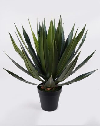 Artificial Plant 75*75*85cm Agave in PP pot/37 lvs GS-41925002 2025May YeahFlower is one of Chinese leading OEM manufacturers and exporters , supplying the silk flowers, wholesale artificial trees Artificial Plant 75*75*85cm Agave in PP pot/37 lvs GS-41925002 2025May YeahFlower is one of Chinese leading OEM manufacturers and exporters , supplying the silk flowers, wholesale artificial trees
