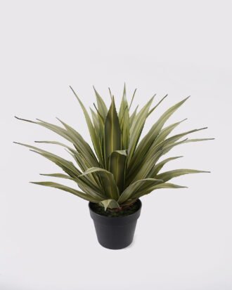 Artificial Plant 45*45*55cm Agave in PP pot/37 lvs GS-41925004 2025May YeahFlower is one of Chinese leading OEM manufacturers and exporters , supplying the silk flowers, wholesale artificial trees Artificial Plant 45*45*55cm Agave in PP pot/37 lvs GS-41925004 2025May YeahFlower is one of Chinese leading OEM manufacturers and exporters , supplying the silk flowers, wholesale artificial trees
